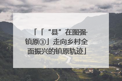 「“县”在图强·镇原③」走向乡村全面振兴的镇原轨迹