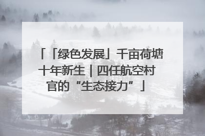 「绿色发展」千亩荷塘 十年新生｜四任航空村官的“生态接力”
