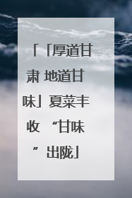 「厚道甘肃 地道甘味」夏菜丰收 “甘味”出陇