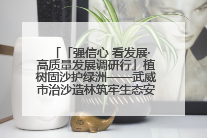 「强信心 看发展·高质量发展调研行」植树固沙护绿洲——武威市治沙造林筑牢生态安全屏障见闻