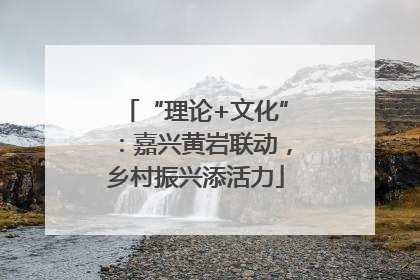 “理论+文化”：嘉兴黄岩联动，乡村振兴添活力