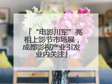 “电影川军”亮相上影节市场展，成都影视产业引发业内关注