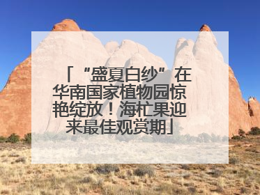 “盛夏白纱”在华南国家植物园惊艳绽放！海杧果迎来最佳观赏期