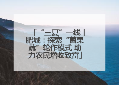“三夏”一线丨肥城：探索“菌果蔬”轮作模式 助力农民增收致富