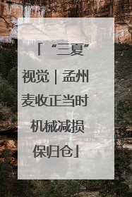 “三夏”视觉｜孟州麦收正当时 机械减损保归仓