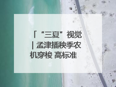 “三夏”视觉｜孟津插秧季农机穿梭 高标准农田披绿装