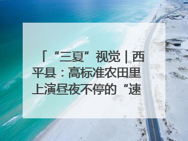 “三夏”视觉｜西平县：高标准农田里上演昼夜不停的“速度与激情”