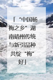 “中国杨梅之乡”湖南靖州传统与新引品种共绽“梅”好