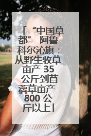 “中国草都” 阿鲁科尔沁旗：从野生牧草亩产 35 公斤到苜蓿草亩产 800 公斤以上