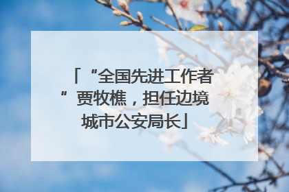 “全国先进工作者”贾牧樵，担任边境城市公安局长