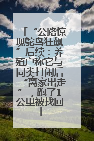 “公路惊现鸵鸟狂飙”后续：养殖户称它与同类打闹后“离家出走”，跑了1公里被找回
