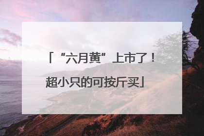 “六月黄”上市了！超小只的可按斤买