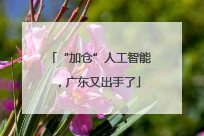 “加仓”人工智能，广东又出手了