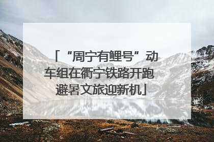 “周宁有鲤号”动车组在衢宁铁路开跑 避暑文旅迎新机