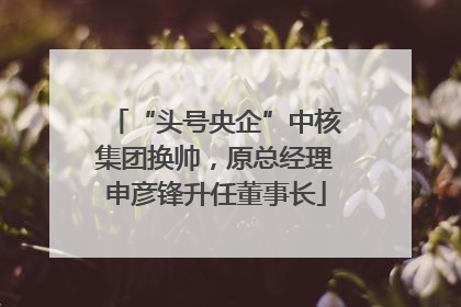 “头号央企”中核集团换帅，原总经理申彦锋升任董事长