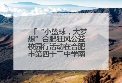 “小篮球，大梦想”合肥狂风公益校园行活动在合肥市第四十二中学南城分校圆满落幕