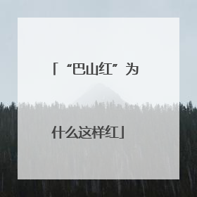 “巴山红”为什么这样红