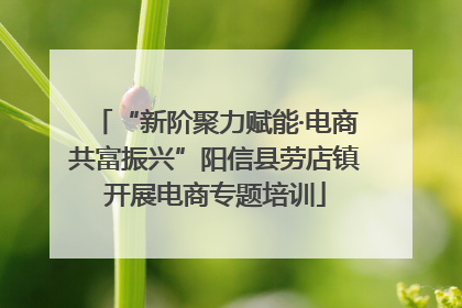 “新阶聚力赋能·电商共富振兴”阳信县劳店镇开展电商专题培训
