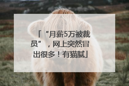 “月薪5万被裁员”，网上突然冒出很多！有猫腻