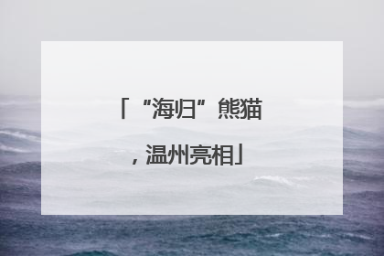 “海归”熊猫，温州亮相