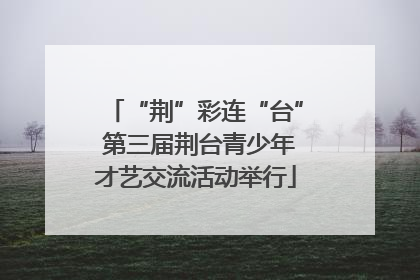 “荆”彩连“台” 第三届荆台青少年才艺交流活动举行