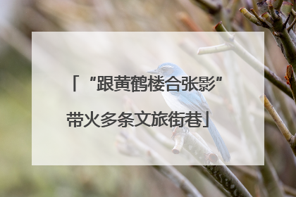 “跟黄鹤楼合张影”带火多条文旅街巷