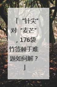 “针尖”对“麦芒”，176袋竹签棘手难题如何解？