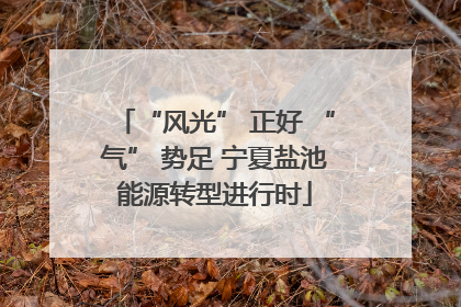 “风光” 正好 “气” 势足 宁夏盐池能源转型进行时