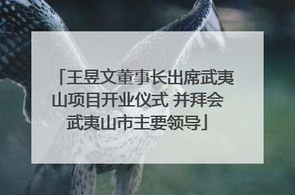 王昱文董事长出席武夷山项目开业仪式 并拜会武夷山市主要领导