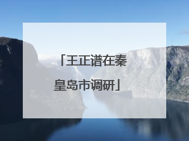 王正谱在秦皇岛市调研