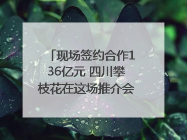 现场签约合作136亿元 四川攀枝花在这场推介会上画“图谱”列“清单”