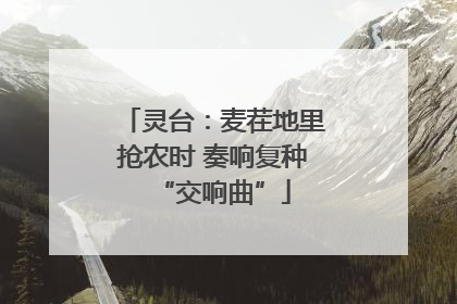 灵台：麦茬地里抢农时 奏响复种“交响曲”