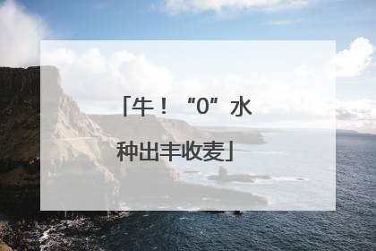 牛！“0”水种出丰收麦
