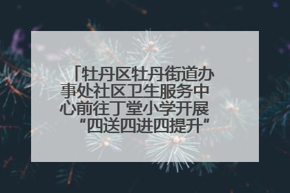 牡丹区牡丹街道办事处社区卫生服务中心前往丁堂小学开展“四送四进四提升”及无烟日宣传活动