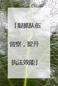 狠抓队伍督察，提升执法效能