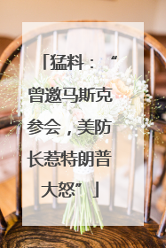 猛料：“曾邀马斯克参会，美防长惹特朗普大怒”