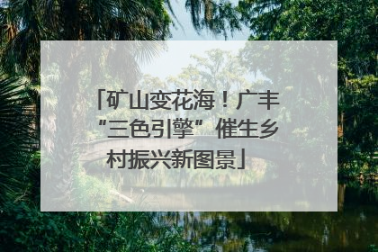 矿山变花海！广丰“三色引擎”催生乡村振兴新图景