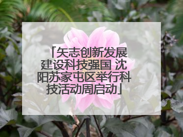 矢志创新发展 建设科技强国 沈阳苏家屯区举行科技活动周启动