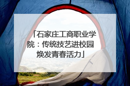 石家庄工商职业学院：传统技艺进校园焕发青春活力