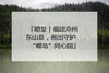 瞭望｜福建漳州东山县，画出守护“蝶岛”同心圆