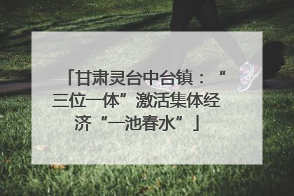 甘肃灵台中台镇：“三位一体”激活集体经济“一池春水”