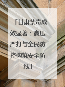 甘肃禁毒成效显著：高压严打与全民防控构筑安全防线