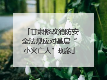 甘肃修改消防安全法规应对基层“小火亡人”现象