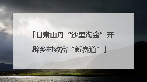 甘肃山丹“沙里淘金”开辟乡村致富“新赛道”