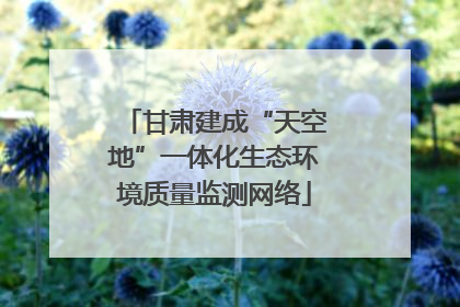甘肃建成“天空地”一体化生态环境质量监测网络