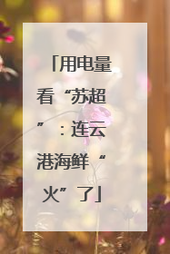 用电量看“苏超”：连云港海鲜“火”了