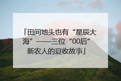 田间地头也有“星辰大海”——三位“00后”新农人的夏收故事
