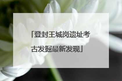 登封王城岗遗址考古发掘最新发现
