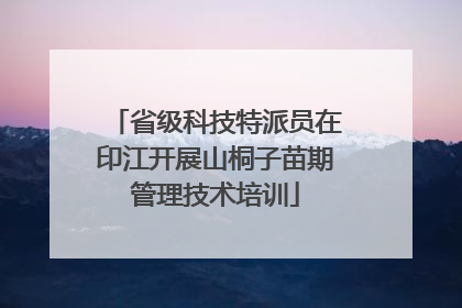 省级科技特派员在印江开展山桐子苗期管理技术培训