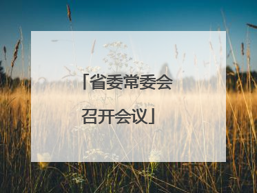 省委常委会召开会议